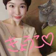 ヒメ日記 2025/07/25 05:45 投稿 きょうこ バイオレンス