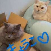 ヒメ日記 2025/10/25 08:35 投稿 きょうこ バイオレンス