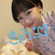 ヒメ日記 2025/11/06 07:20 投稿 きょうこ バイオレンス