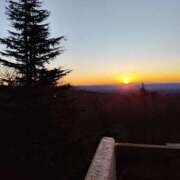 ヒメ日記 2025/12/20 06:15 投稿 きょうこ バイオレンス