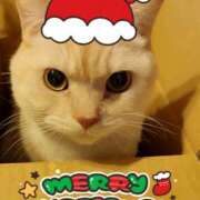 ヒメ日記 2025/12/25 19:15 投稿 きょうこ バイオレンス