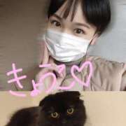 ヒメ日記 2026/02/18 14:45 投稿 きょうこ バイオレンス