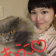 きょうこ お休み中！ バイオレンス