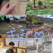 ヒメ日記 2026/04/02 20:25 投稿 きょうこ バイオレンス