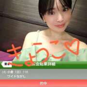 ヒメ日記 2026/07/06 04:45 投稿 きょうこ バイオレンス