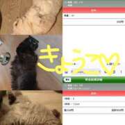ヒメ日記 2026/07/12 06:55 投稿 きょうこ バイオレンス