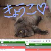 ヒメ日記 2026/07/27 08:16 投稿 きょうこ バイオレンス