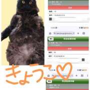 ヒメ日記 2026/08/24 07:45 投稿 きょうこ バイオレンス