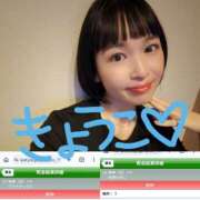 きょうこ お休みです！ バイオレンス