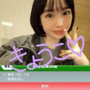 きょうこ 6時半からご案内可能です！！ バイオレンス