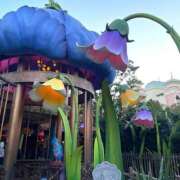 ヒメ日記 2025/02/16 12:35 投稿 もなか ハピネス東京