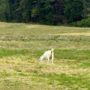 ヒメ日記 2025/07/12 12:16 投稿 もなか ハピネス東京