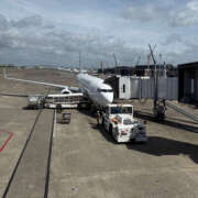 ヒメ日記 2025/07/17 09:37 投稿 もなか ハピネス東京