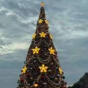 ヒメ日記 2025/11/27 13:37 投稿 もなか ハピネス東京