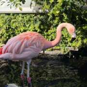 ヒメ日記 2026/04/16 15:27 投稿 もなか ハピネス東京