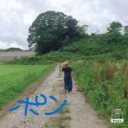 ヒメ日記 2025/08/20 13:02 投稿 いづみ 埼玉西川口ショートケーキ（シンデレラグループ）