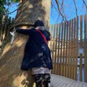 ヒメ日記 2026/03/12 12:46 投稿 いづみ 埼玉西川口ショートケーキ（シンデレラグループ）