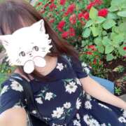 ヒメ日記 2025/06/17 15:10 投稿 ゆきの 脱がされたい人妻　久喜・古河店