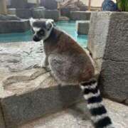 ヒメ日記 2025/03/01 11:28 投稿 せりな G-SPOT