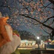 ヒメ日記 2025/04/17 18:31 投稿 せりな G-SPOT