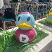 ヒメ日記 2025/04/18 14:13 投稿 せりな G-SPOT