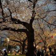 ヒメ日記 2026/04/05 21:33 投稿 つばさ ニューグランド