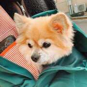 ヒメ日記 2025/05/13 22:51 投稿 サヤカ ドMなバニーちゃん大宮店