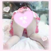 ヒメ日記 2025/01/16 14:23 投稿 のあ 山梨甲府甲斐ちゃんこ