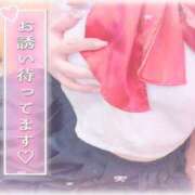 ヒメ日記 2025/02/14 00:03 投稿 のあ 山梨甲府甲斐ちゃんこ