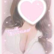 ヒメ日記 2025/03/15 11:30 投稿 のあ 山梨甲府甲斐ちゃんこ