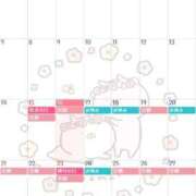 ヒメ日記 2025/09/16 20:01 投稿 みれい 即アポマダム～名古屋店～