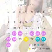 ヒメ日記 2025/11/17 19:01 投稿 みれい 即アポマダム～名古屋店～