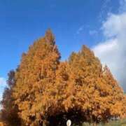 ヒメ日記 2025/12/05 00:57 投稿 みれい 即アポマダム～名古屋店～