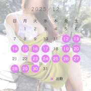 みれい 戻ります! 即アポマダム~名古屋店~