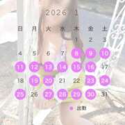 ヒメ日記 2026/01/08 18:41 投稿 みれい 即アポマダム～名古屋店～