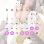 ヒメ日記 2026/01/21 11:57 投稿 みれい 即アポマダム～名古屋店～