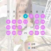 ヒメ日記 2026/01/28 18:41 投稿 みれい 即アポマダム～名古屋店～