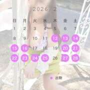 ヒメ日記 2026/02/12 14:41 投稿 みれい 即アポマダム～名古屋店～