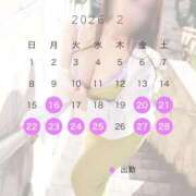 ヒメ日記 2026/02/16 14:41 投稿 みれい 即アポマダム～名古屋店～