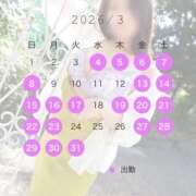 ヒメ日記 2026/03/04 20:21 投稿 みれい 即アポマダム～名古屋店～