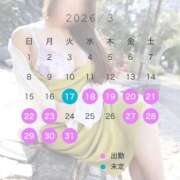 ヒメ日記 2026/03/14 21:51 投稿 みれい 即アポマダム～名古屋店～