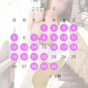 ヒメ日記 2026/04/01 10:41 投稿 みれい 即アポマダム～名古屋店～