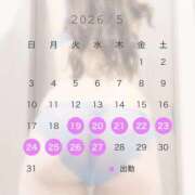 ヒメ日記 2026/05/19 17:56 投稿 みれい 即アポマダム～名古屋店～