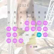 ヒメ日記 2026/06/10 19:21 投稿 みれい 即アポマダム～名古屋店～