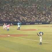 ヒメ日記 2025/09/19 12:52 投稿 みれい 即アポ奥さん〜名古屋店〜