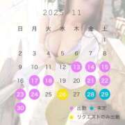 ヒメ日記 2025/11/14 15:31 投稿 みれい 即アポ奥さん〜名古屋店〜