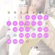 ヒメ日記 2025/12/04 20:41 投稿 みれい 即アポ奥さん〜名古屋店〜