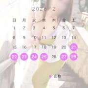 ヒメ日記 2026/02/21 19:56 投稿 みれい 即アポ奥さん〜名古屋店〜