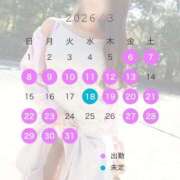 ヒメ日記 2026/03/06 19:31 投稿 みれい 即アポ奥さん〜名古屋店〜