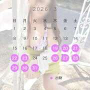 ヒメ日記 2026/03/19 13:21 投稿 みれい 即アポ奥さん〜名古屋店〜